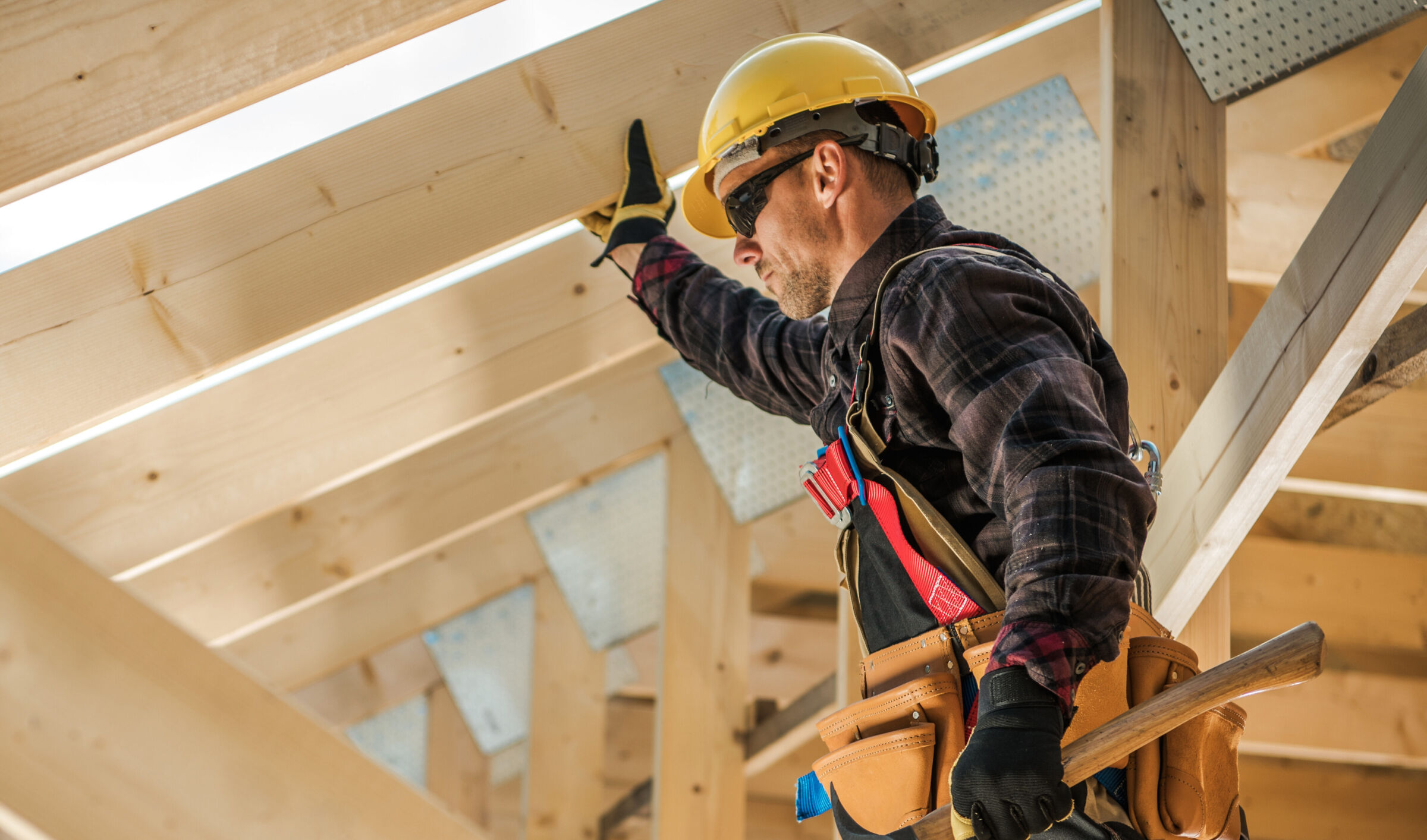 Shutterstock 1533114308