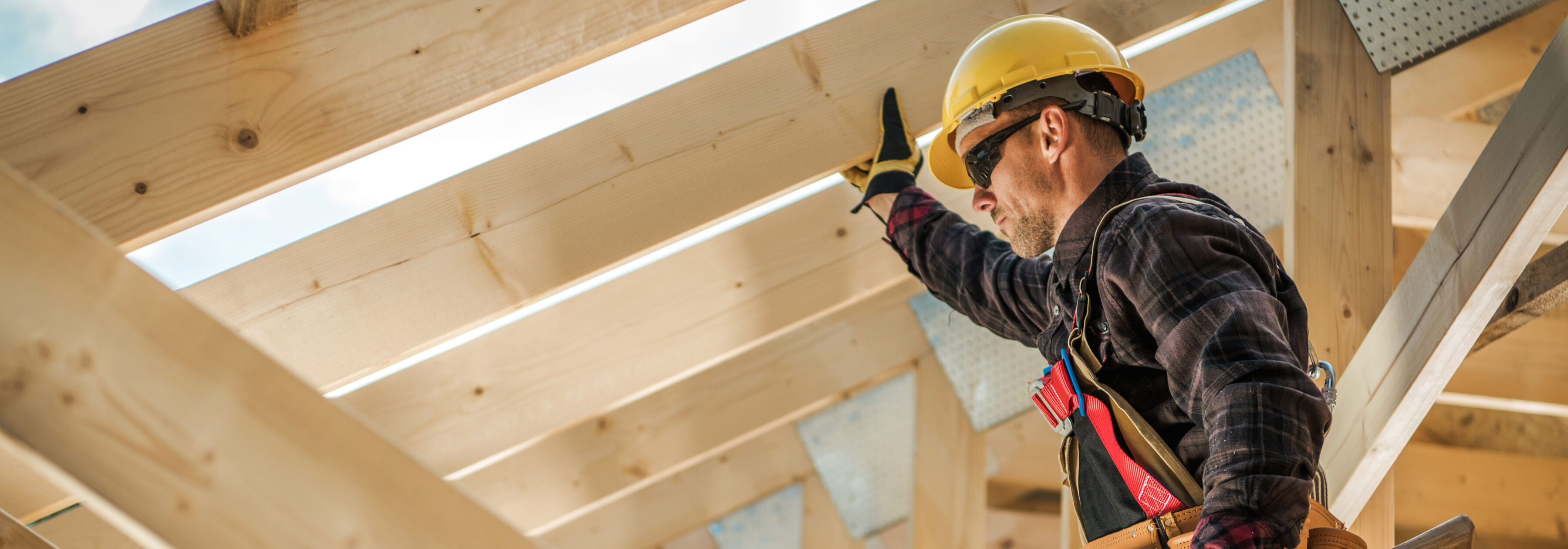 Shutterstock 1533114308