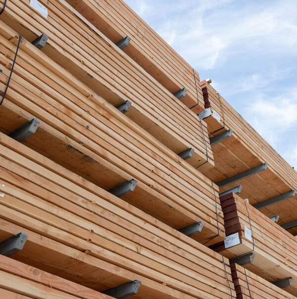 Trien Byttebier OWC 6 P9 A1405